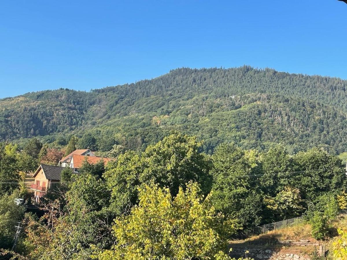 Gite Au Manoir Des Sens Avec Bain Nordique Jacuzzi Bergheim Εξωτερικό φωτογραφία